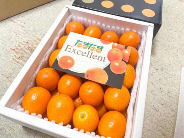 たまたまの最高峰「たまたまエクセレント」買ってみた 完熟きんかん