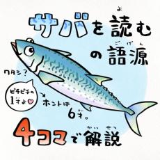 サバの特徴から生まれた「サバを読む」語源を解説する4コマイラスト