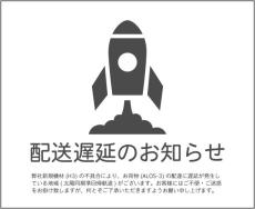 「事実」の正しい使い方　「H3ロケット打ち上げ延期」を描いたイラストが伝える「真実」