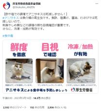 厚労省が猫の写真を使用してユニークな注意喚起　「アニサキスは猫パンチでは倒せません」