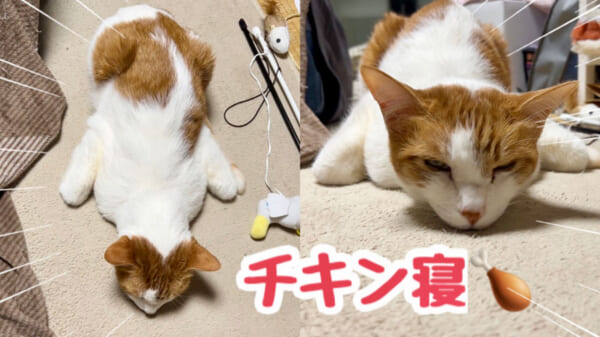 otakuma_20240221_01_0.jpg