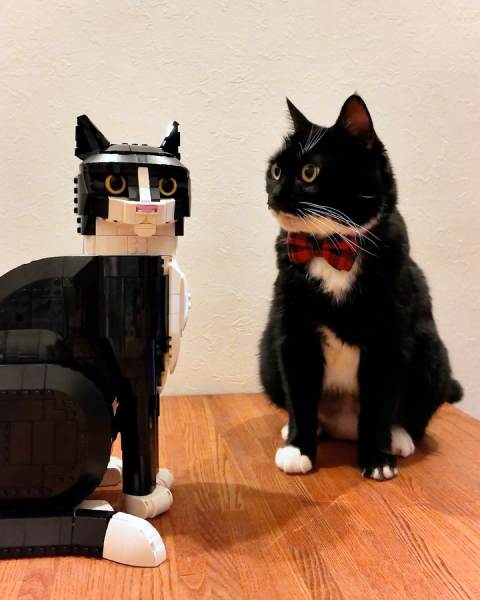 ドッペルゲンガー？自分そっくりなレゴブロック猫に戸惑うにゃんこ