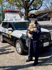 可愛すぎた疑い！？代々木公園のイベントで警察官に「逮捕」される