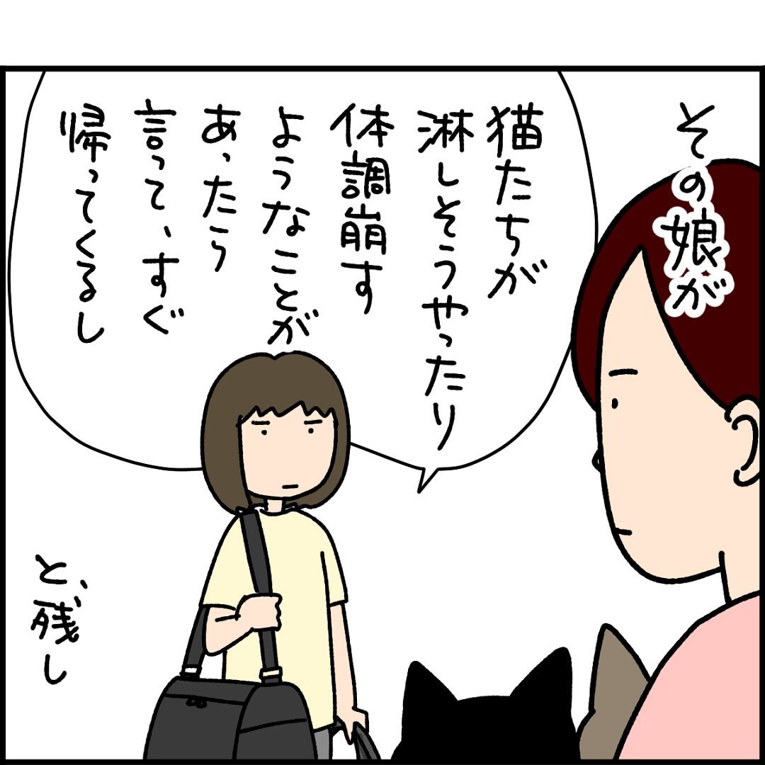 【漫画】“愛猫2匹”が心配も、1人暮らしを始めた娘　実家にいる猫たちの様子は…＜作者インタビュー＞