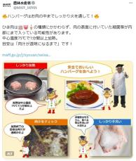 「ひき肉」は“細菌が内部”に入っている　食中毒を防ぐ“目安”を農水省が解説