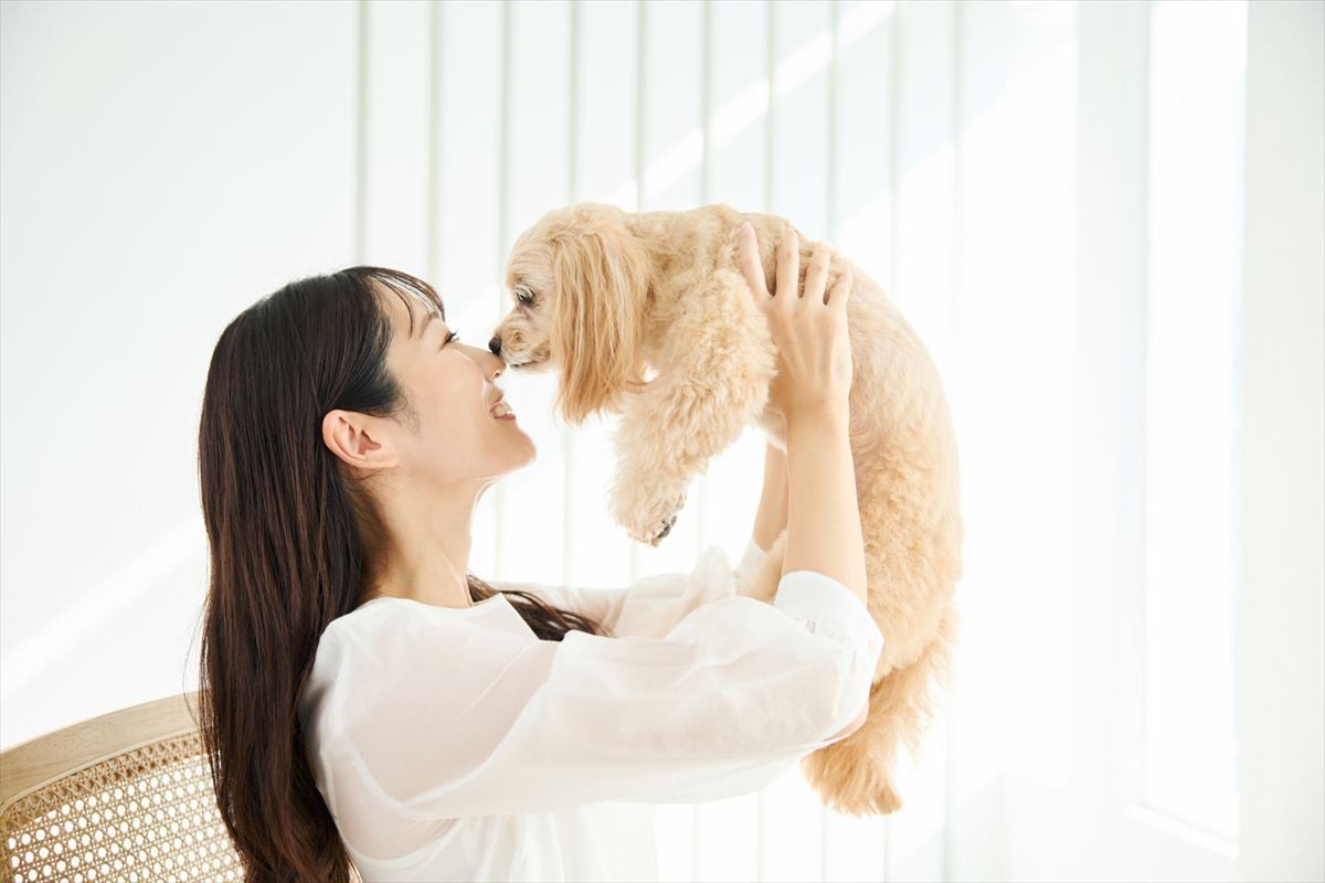 飼い主440人超が回答「仕事の疲れを犬が癒やしてくれる瞬間」ランキング　2位「そばに寄ってくる」を上回った1位は？