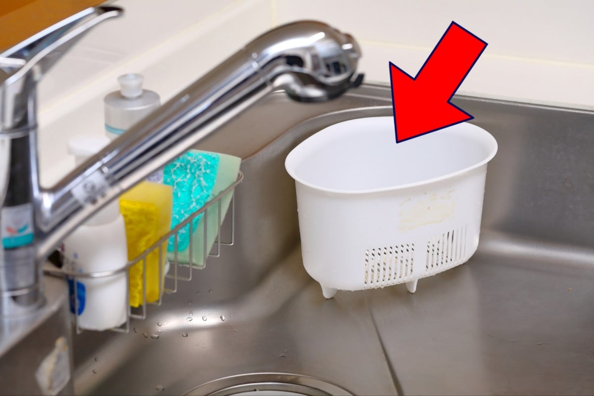 排水口掃除の頻度は？