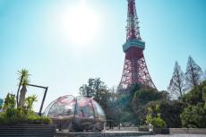 東京タワーと桜のダブル絶景　 ドームテントでここでしかできないお花見体験