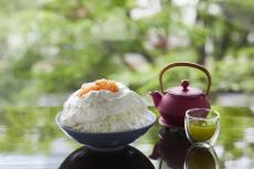「ゴルゴンゾーラチーズ＆グレープフルーツの自家製かき氷」　緑茶のセットで優雅に、京王プラザ3階のティーラウンジ