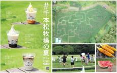 とうもろこし巨大迷路が出現　那須千本松牧場で夏フェスティバル