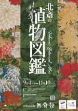 展覧会「北斎の植物図鑑」　100種類以上の植物の絵を北斎ならではの表現で楽しむ