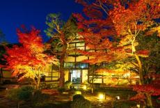 枯山水庭園の夜の紅葉を楽しむ　京都嵐山・鹿王院で夜の特別拝観