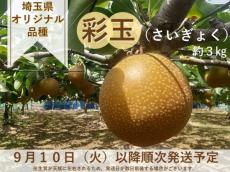 埼玉県オリジナルの大玉梨「彩玉」を販売　産地直送通販サイト「JAタウン」