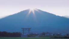 三輪山の神様からの贈り物　ササユリ酵母の日本酒