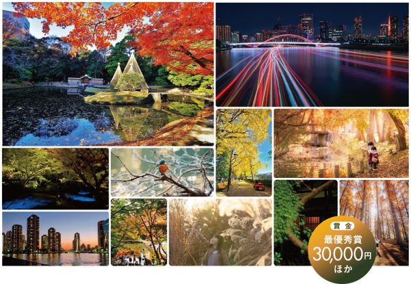 都立公園・庭園・隅田川で秋を楽しみ応募しよう　「秋のTOKYO Instagramフォトコンテスト2024」開催