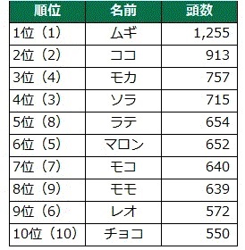 「犬の名前ランキング2024」を発表！　今や「ムギ」は代名詞、「デコピン」、「ショウヘイ」は何位？