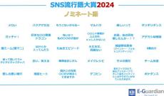 SNS流行語大賞2024　今年蓄積されたデータからノミネートワードを発表