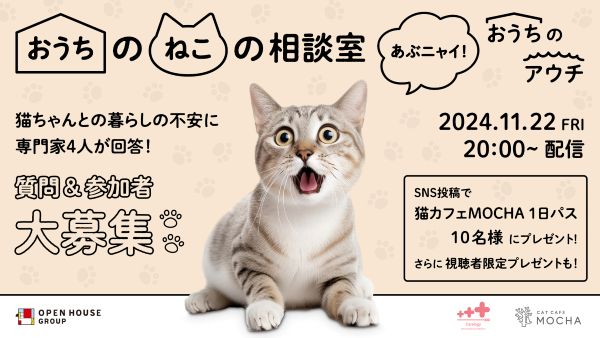 飼い主と猫の幸せな住まいと暮らしを応援　「おうちのねこの相談室～あぶニャイ！おうちのアウチ～」YouTube配信