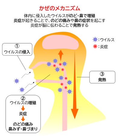 かぜのひき始めはいつ？                                          薬を飲み始めるタイミングをアンケート調査