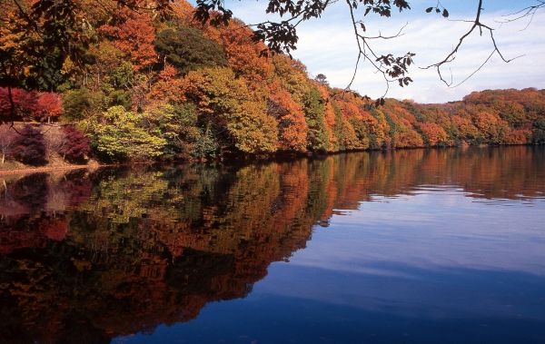 伊東市の「一碧湖」と「丸山公園」では12月上旬に紅葉が見頃に　都心から電車で約80分、厚木インターから車で約90分