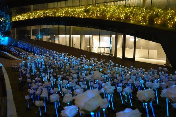 約1600本の花々が織りなす光と音のイルミネーション　11月28日から「SIX WAKE ROPPONGI ILLUMINATION 2024 〜 Magic Garden 〜」