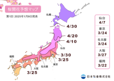 開花一番乗りは高知・福岡・鹿児島　開花傾向は全国的に「平年並み」の予想