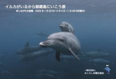 「イルカがいるから御蔵島にいこう展」　東京・しながわ水族館で1月22日から開催