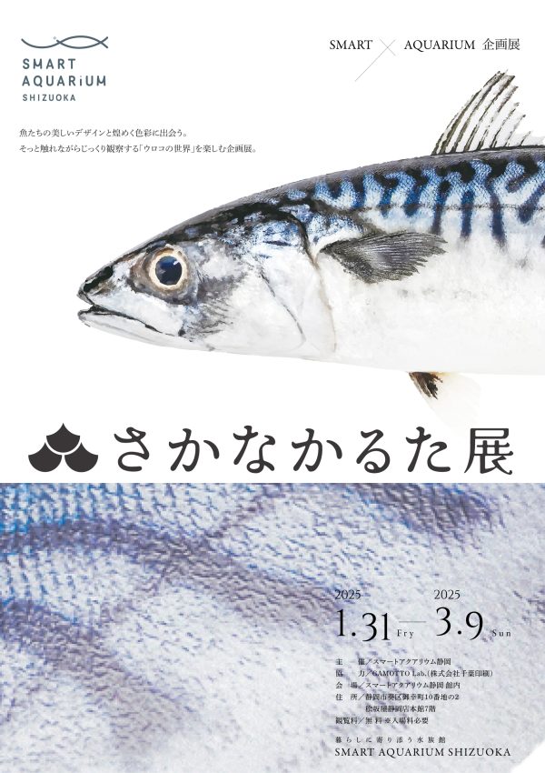 うろこで魚を当てる「さかなかるた」を拡大展示　キラキラ感や凹凸感を特殊印刷技術で再現