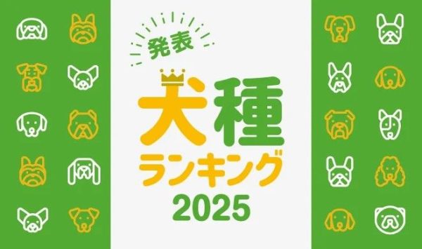 トイ・プードルから1位の座を奪った犬種は？　「人気犬種ランキング2025」を発表