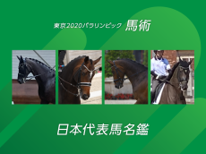 日本代表“馬”に注目！東京パラリンピックの馬術競技・馬名鑑