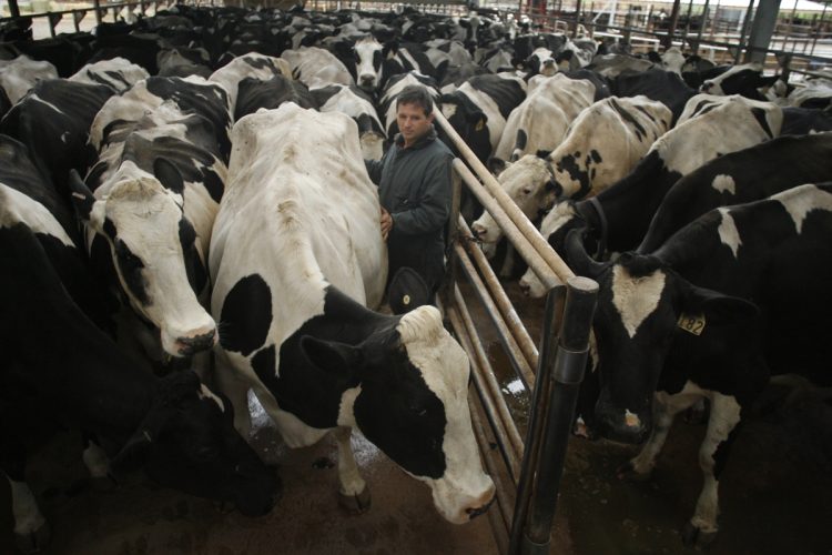 「国産牛肉」に潜むリスク　原産国表示の“長いところルール”で「アメリカ育ちの国産牛」も可能な状況