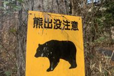 【遺体の損傷が酷く遺族は直視できなかった】殺人クマの被害が急増！次は「夏のキャンプ場」でゴミの管理をしない学生とファミリーがヤバい