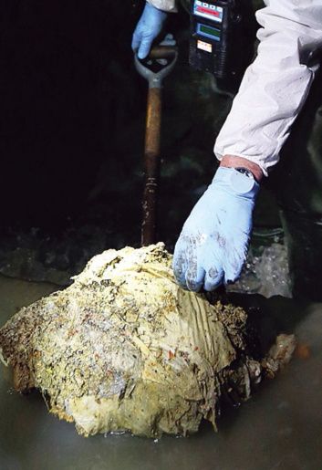 管にこびりつく油脂の塊で下水逆流の恐怖