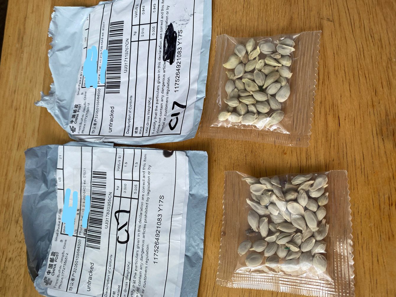 ANGELEARS × CVJ YUKIMI （箱に配送時の傷有り）