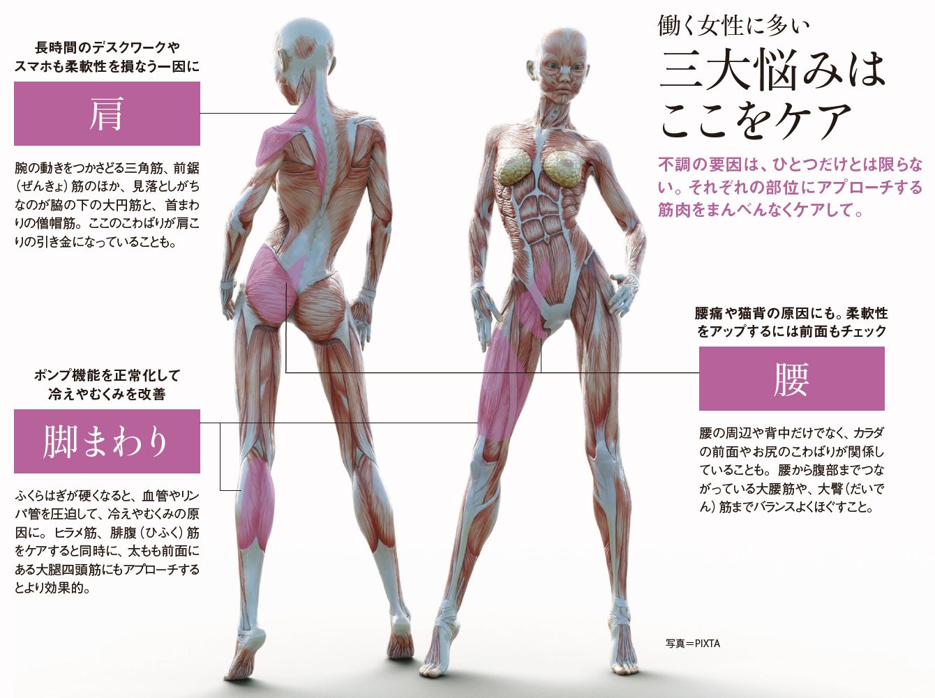リモートワーク続きでカチカチになった腰 肩 脚が楽になる 最新ストレッチ法 記事詳細 Infoseekニュース