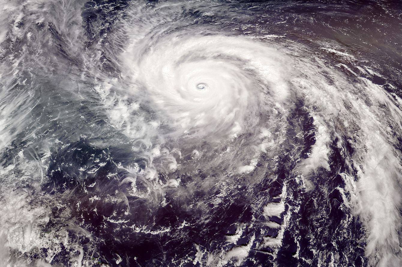 今年は｢トカゲ台風｣がやってくる…台風に｢○号｣という数字だけでなく愛称があるワケ