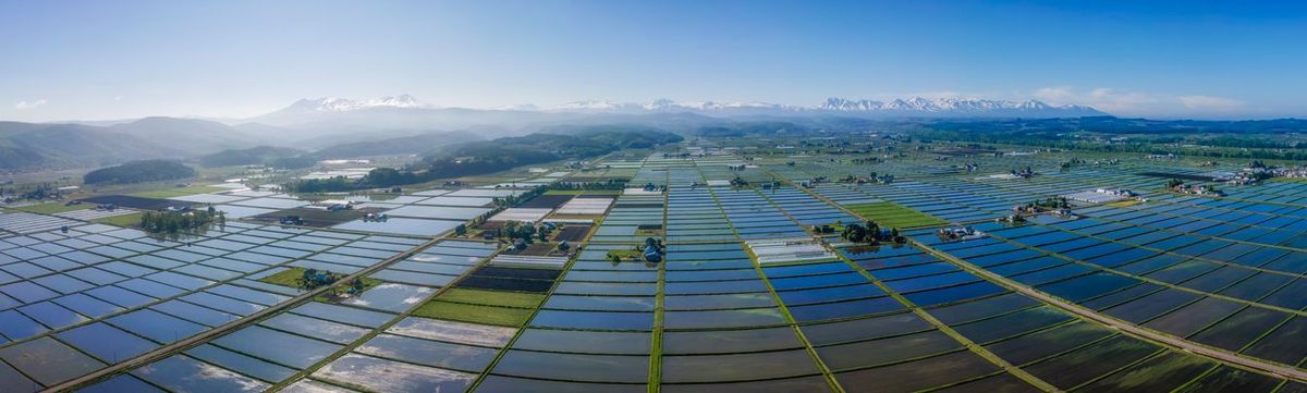 ｢助成金を渡すだけではだれも田舎に住まない｣北海道東川町が27年間人口を増やし続けるワケ