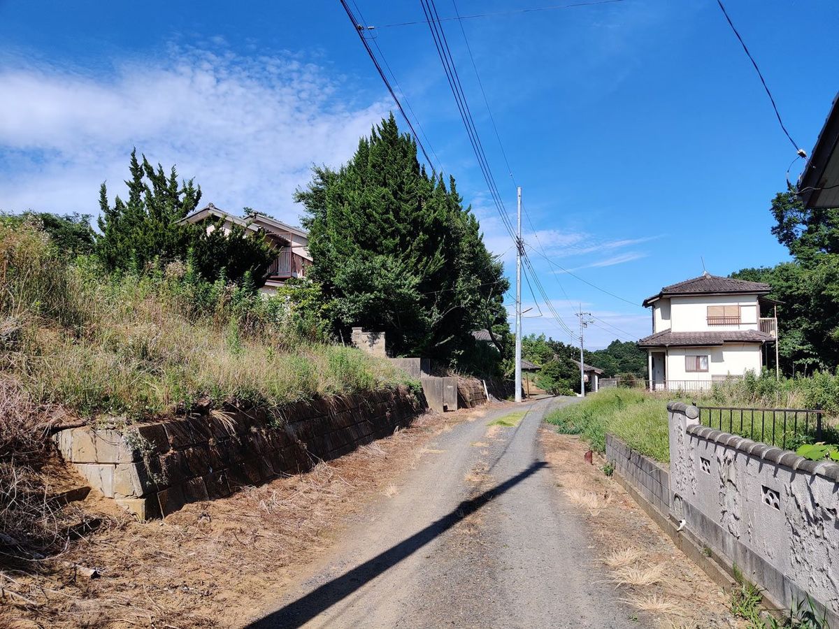 死角が多く､不法投棄には好都合…日本の郊外にある｢タダ同然の住宅地｣にゴミが捨てられる構造的な理由