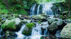 日本の水でなければ｢本当の和食｣は作れない…世界で唯一の食文化が日本で生まれた科学的理由