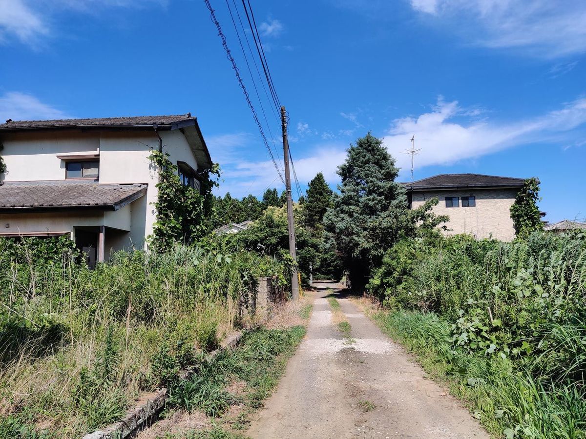なぜ日本の郊外には｢タダ同然の住宅地｣が大量にあるのか…｢限界分譲地｣という大問題を告発する【2022下半期BEST5】