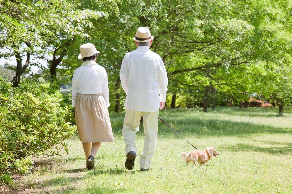 日本は｢平均寿命｣も｢健康寿命｣も世界一長い…では&quot;不健康期間&quot;ワーストランキングの順位は?