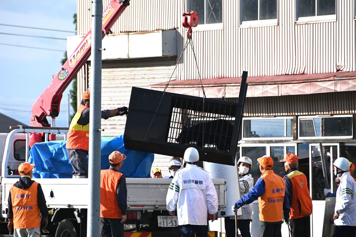 居間にいるのは泥棒かと思ったらクマだった…｢人間とクマの陣取り