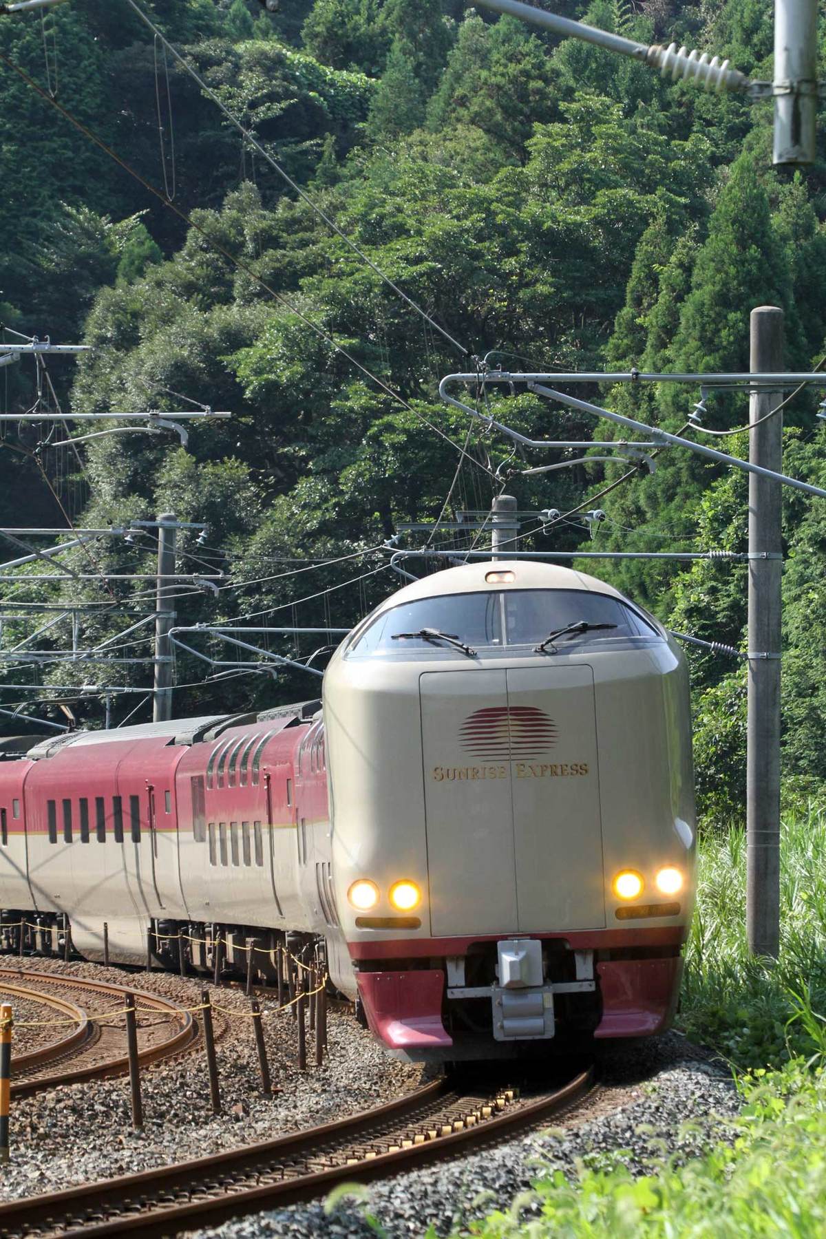 国内最後の定期夜行列車｢サンライズ｣は生き残れるのか…快適性を追求した｢21世紀の寝台列車｣の現在地｜Infoseekニュース