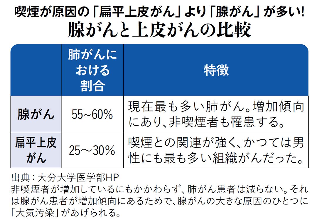 和田秀樹｢“真犯人”は警察、行政、建設業者の可能性大｣…タバコ喫煙率激減したのに肺がん死増加の背景