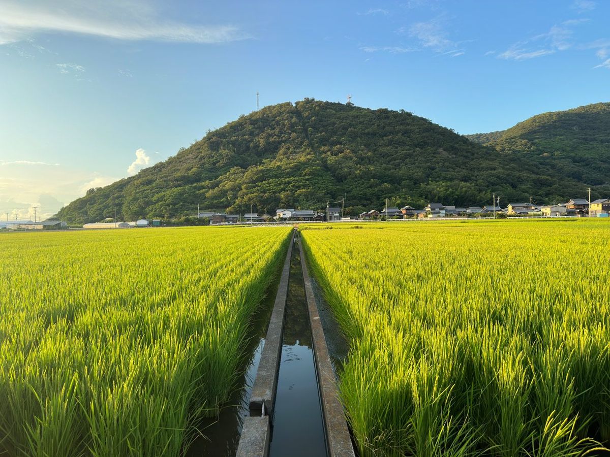 地方移住者が後で天を仰ぐことになる&quot;判断ミス&quot;…医療水準 収入 子供学歴｢全低下｣回避法を&quot;移住10年&quot;が指南