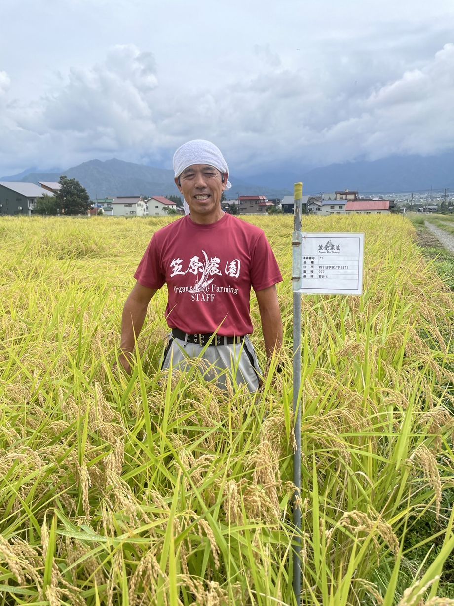 ｢5キロ4000円｣の高級米を安く買い叩かれる…｢初の品薄｣に直面した魚沼の農家が農協に卸すのをやめた理由