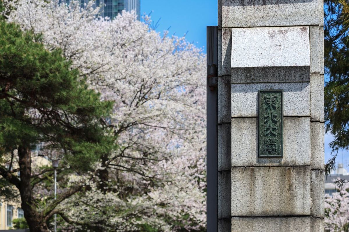 ｢AO入試はバカでラクでズルい｣は時代遅れ…東北大学が｢筆記だけの一般入試をやめる｣と宣言した本当の理由