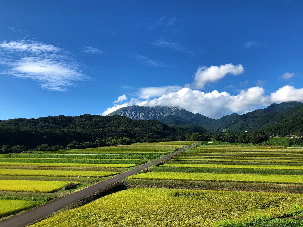 ふるさと納税をして｢自主増税｣の憂き目に…年末ぎりぎりでふるさと納税をする人はとくに注意したい手続き