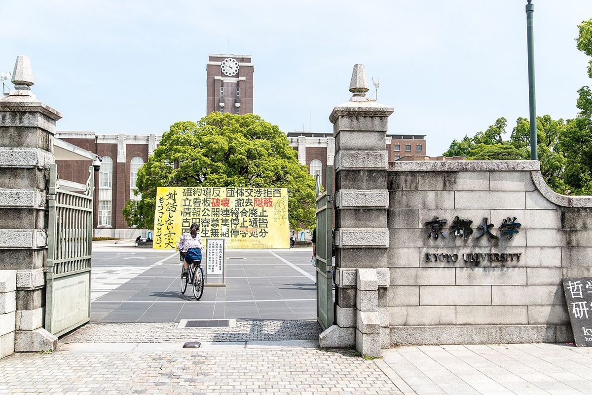 京大名物｢タテカン｣を撤去したゴリラの専門家に会ってみたら…｢あまりに京大生｣な強烈な振る舞い