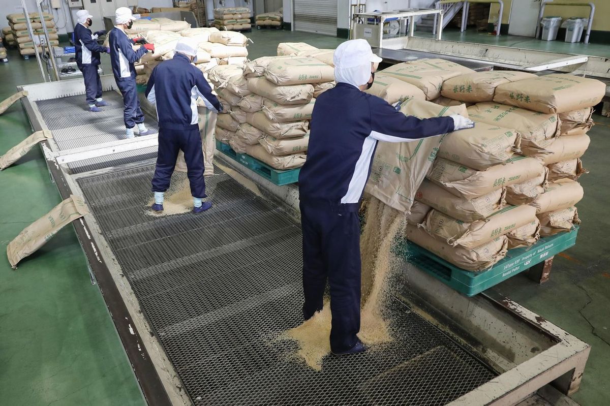 無農薬 特別栽培米 10Kg 栽培中 無肥料 筑後久保農園 令和6年度